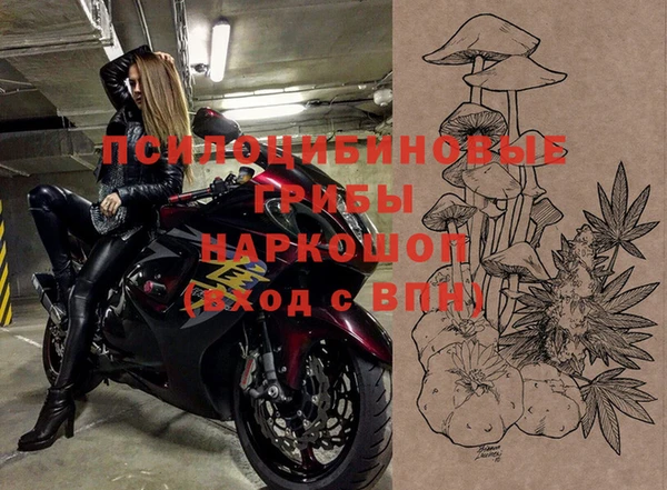 ешки Михайлов