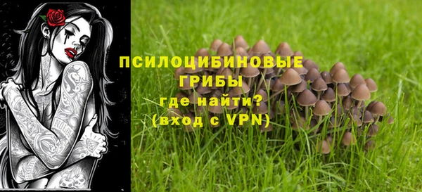 spice Михайловка